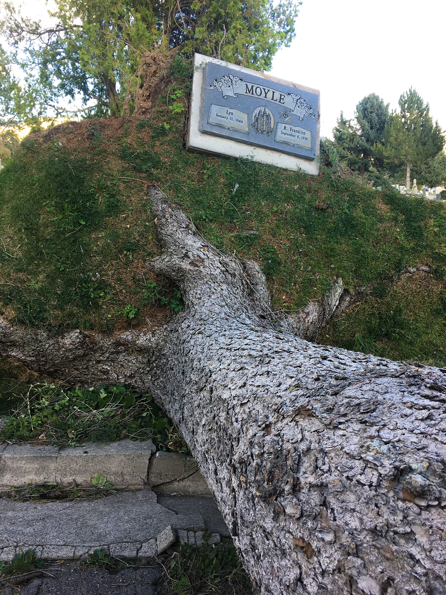 Salt Lake City Cemetery Suffers Severe Damage from 100+ mph Wind Storm