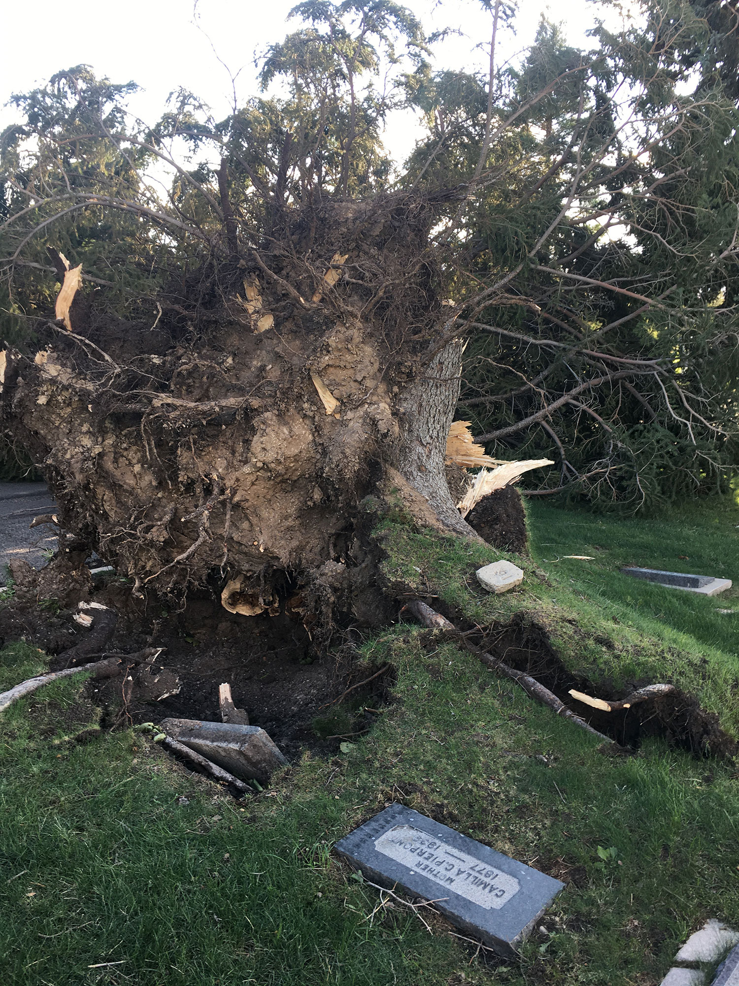 Salt Lake City Cemetery Suffers Severe Damage from 100+ mph Wind Storm